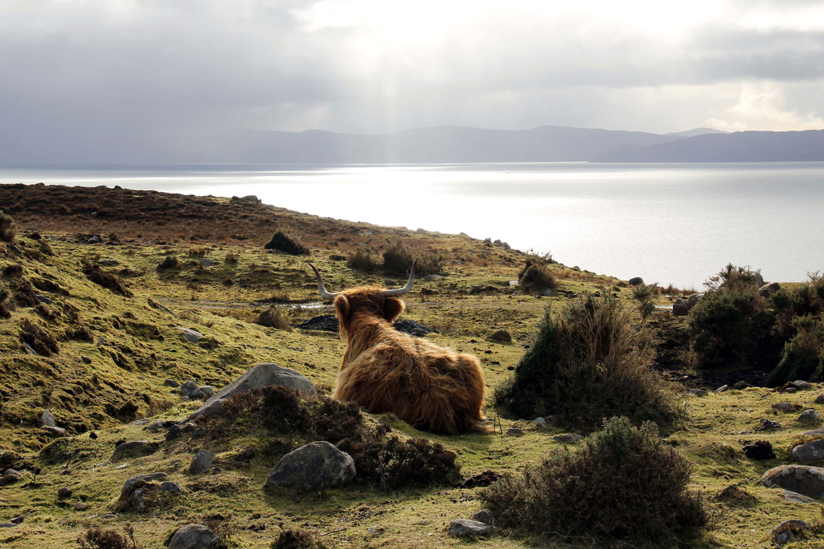 06-Inner-Sound-from-Cuaig