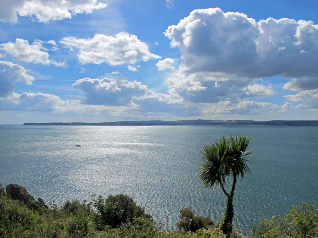 From Torquay Harbour to Meadfoot Beach