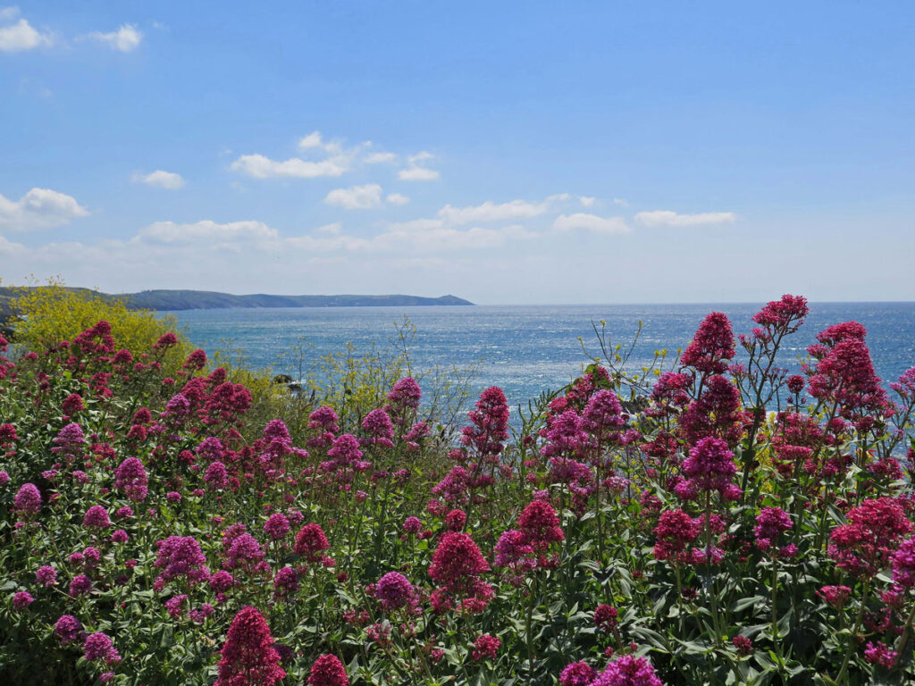 Exploring the Rame Peninsula