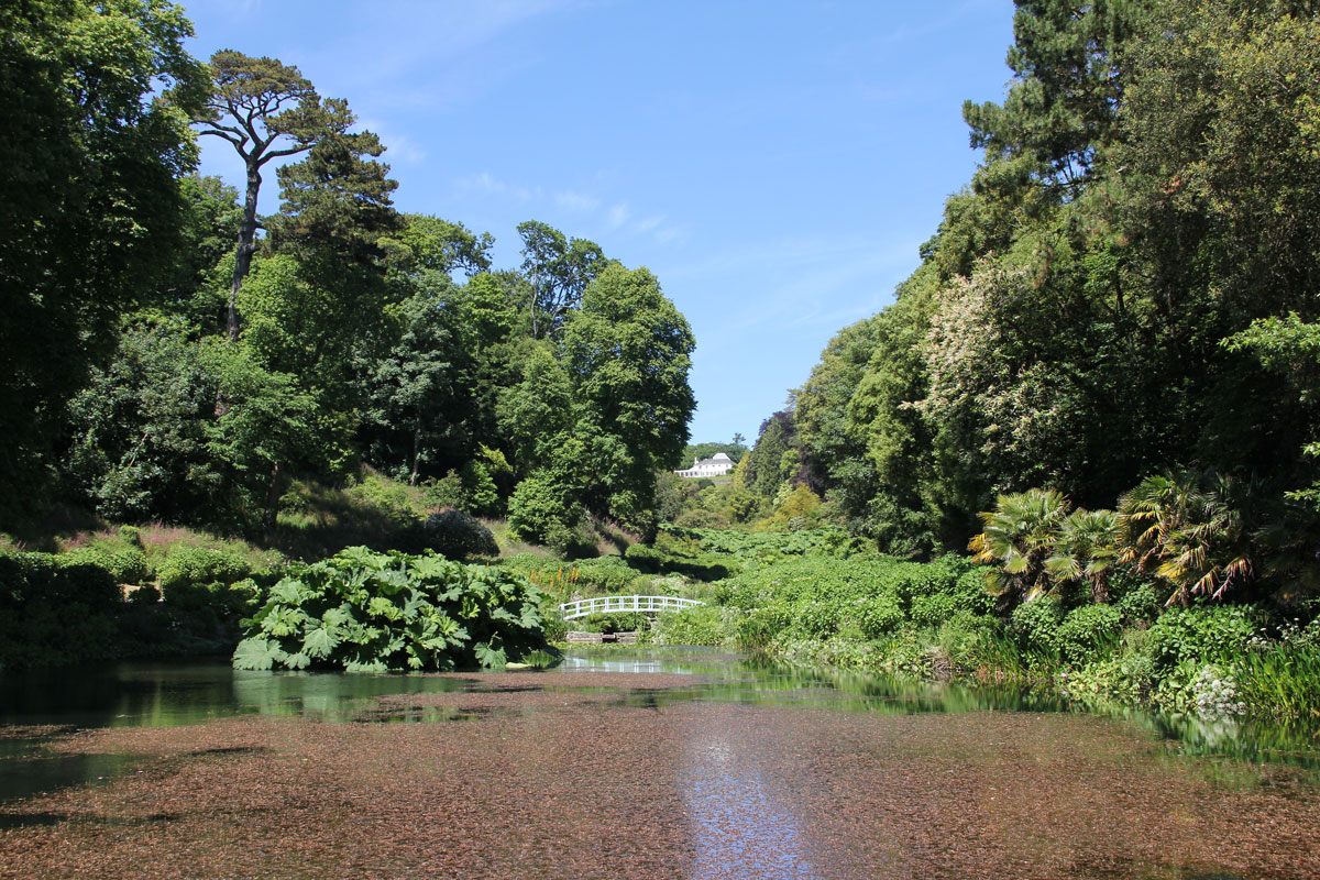 012-The-Azolla-Pool