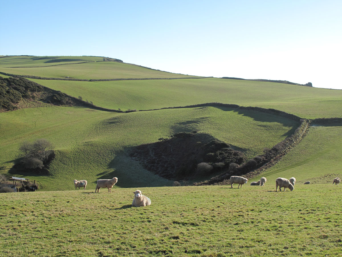 03-Rolling-Hills-around-the-Bolt-Tail-Coastline