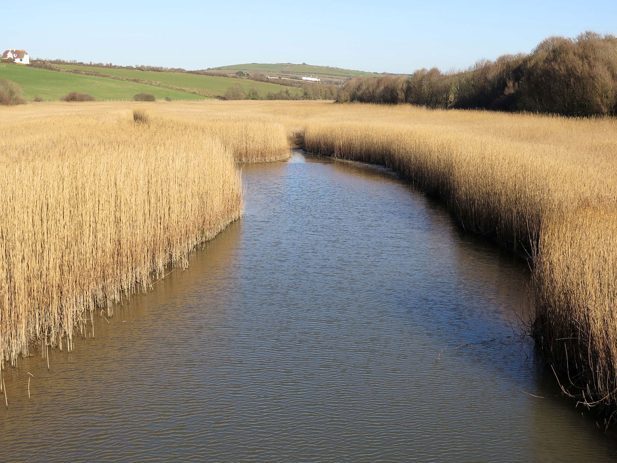 09-Thurlestone-Marsh