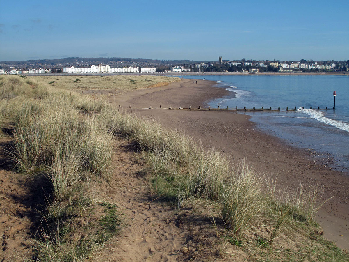 015-The-Nature-Reserve-at-Dawlish-Warren-with-Exmouth-in-the-distance
