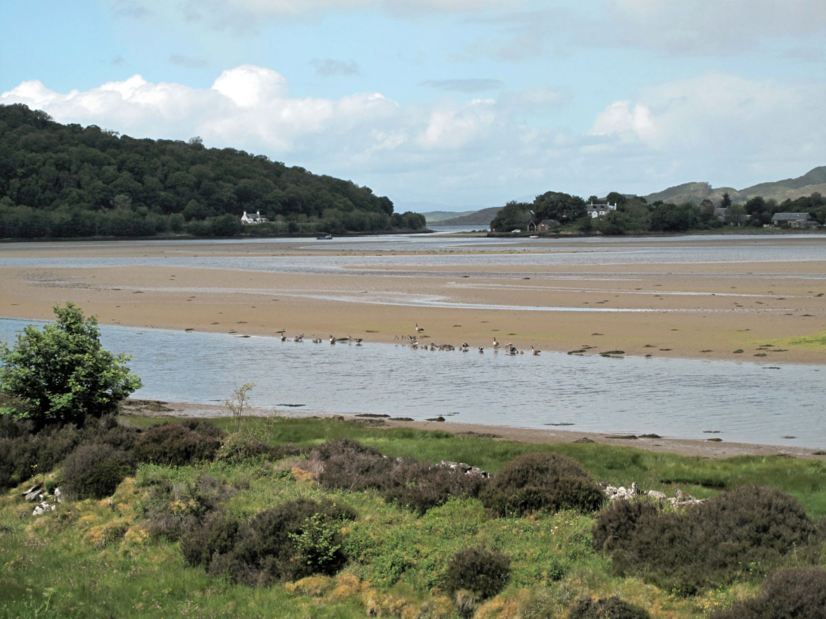 02-The-Add-Estuary