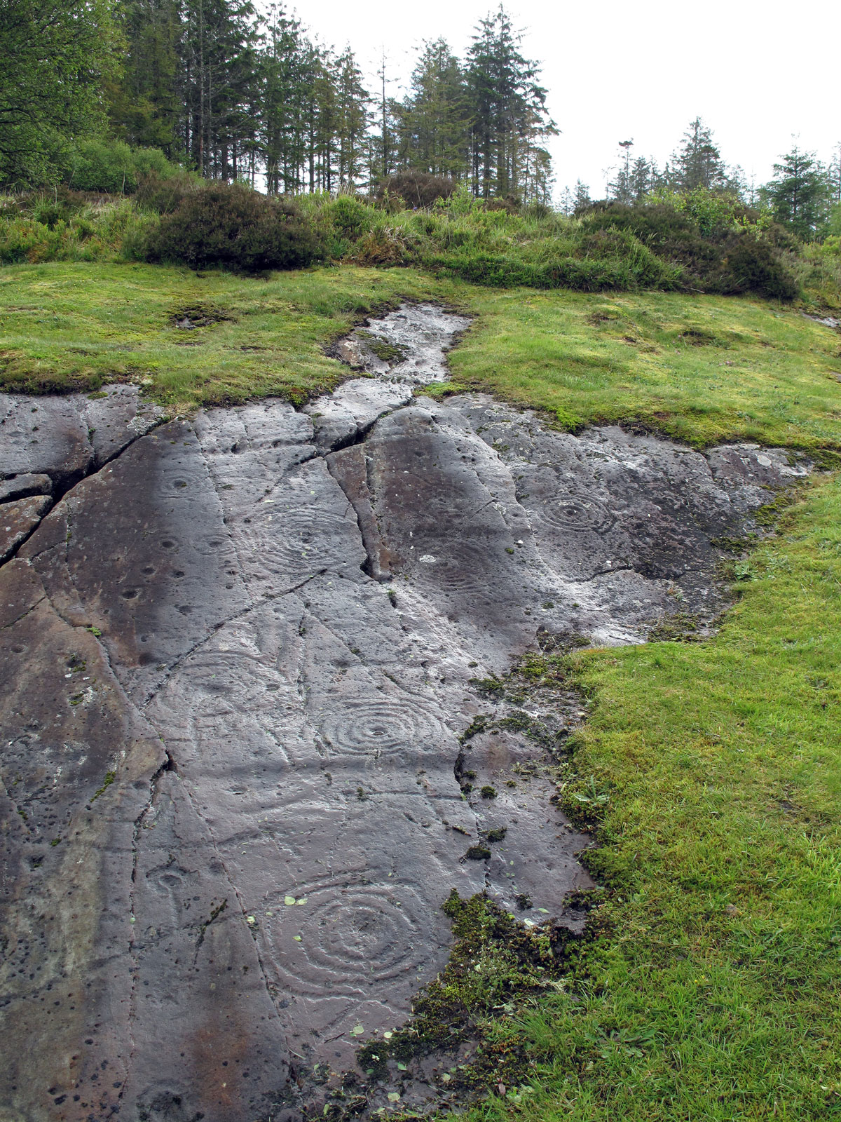 07-Achnabreac-Cup-and-Ring-Marked-Rocks