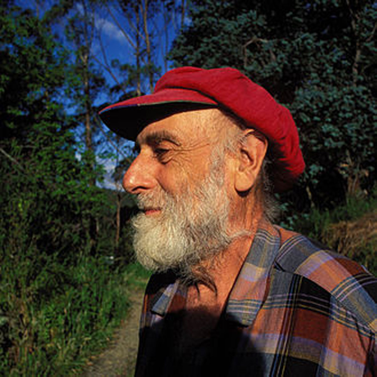02-Friedensreich-Hundertwasser-(Wikipedia)