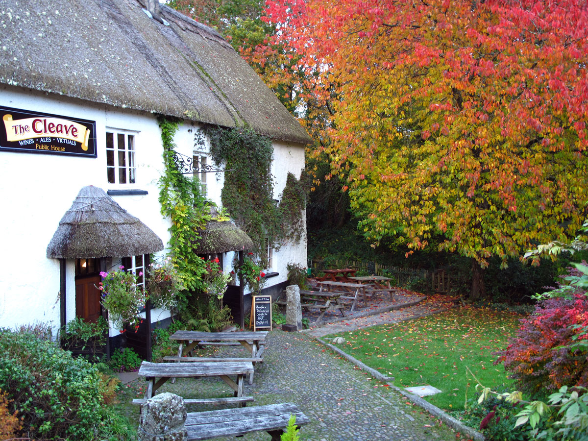 010-The-Cleave--Lustleigh