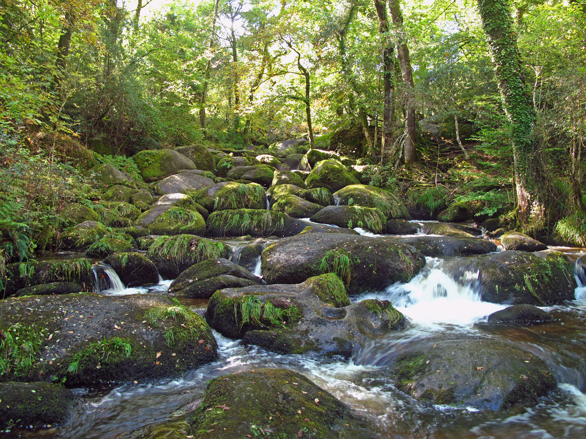 08-Becky-Falls