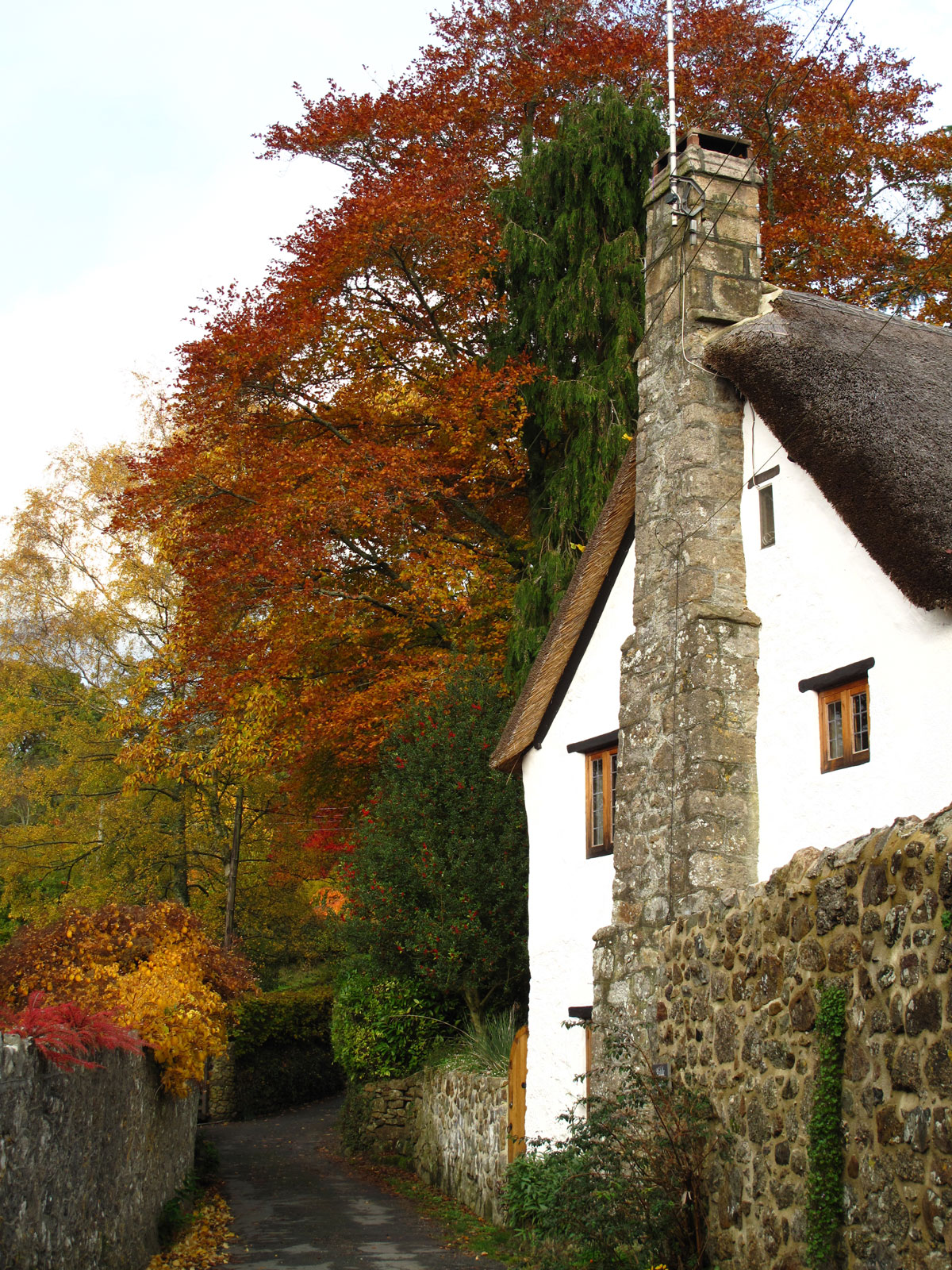 09-Autumn-in-Lustleigh