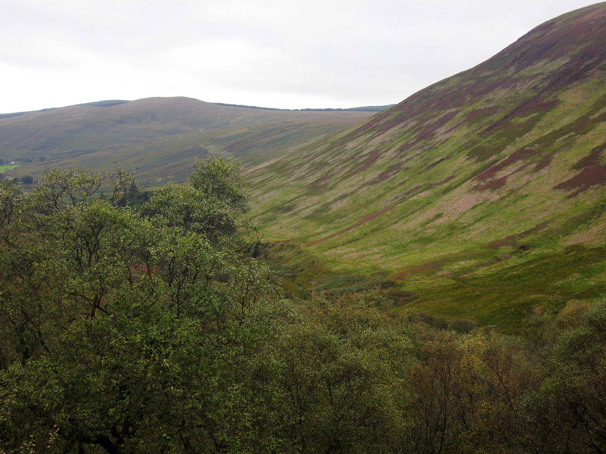 023-Scenery-along-the-String-Road