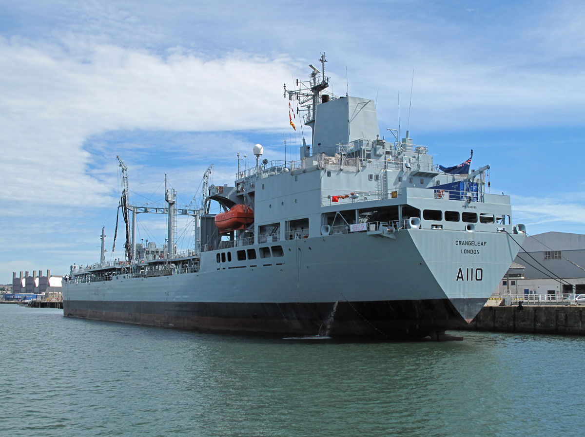 04-RFA-Orangeleaf-in-South-Yard