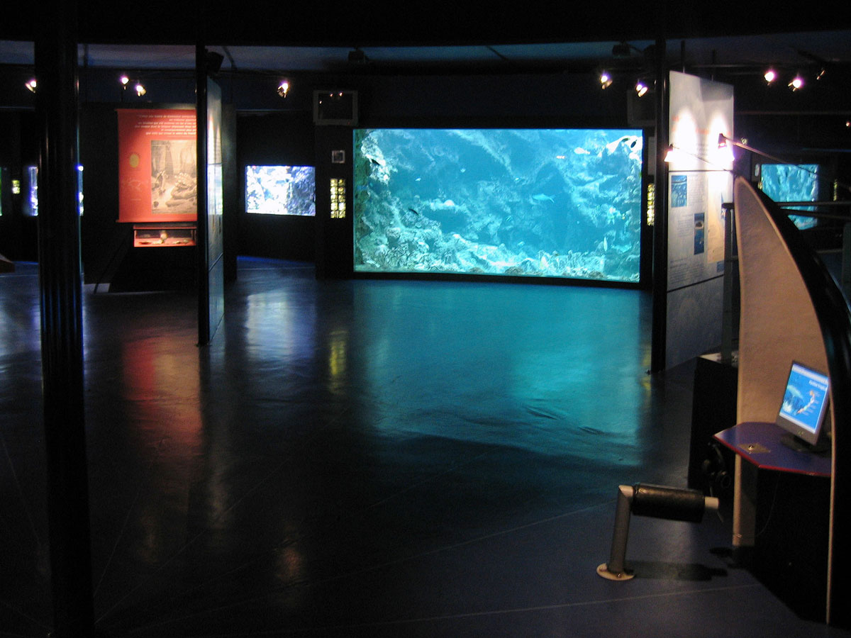 06-Inside-the-Aquarium