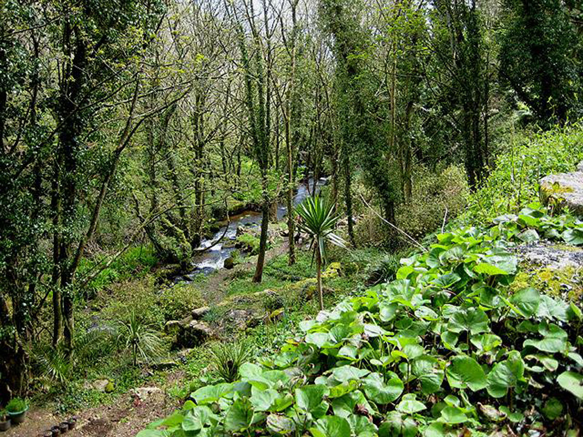 02-The-Lamorna-Valley-(©Kowethas-Ertach-Kernow)
