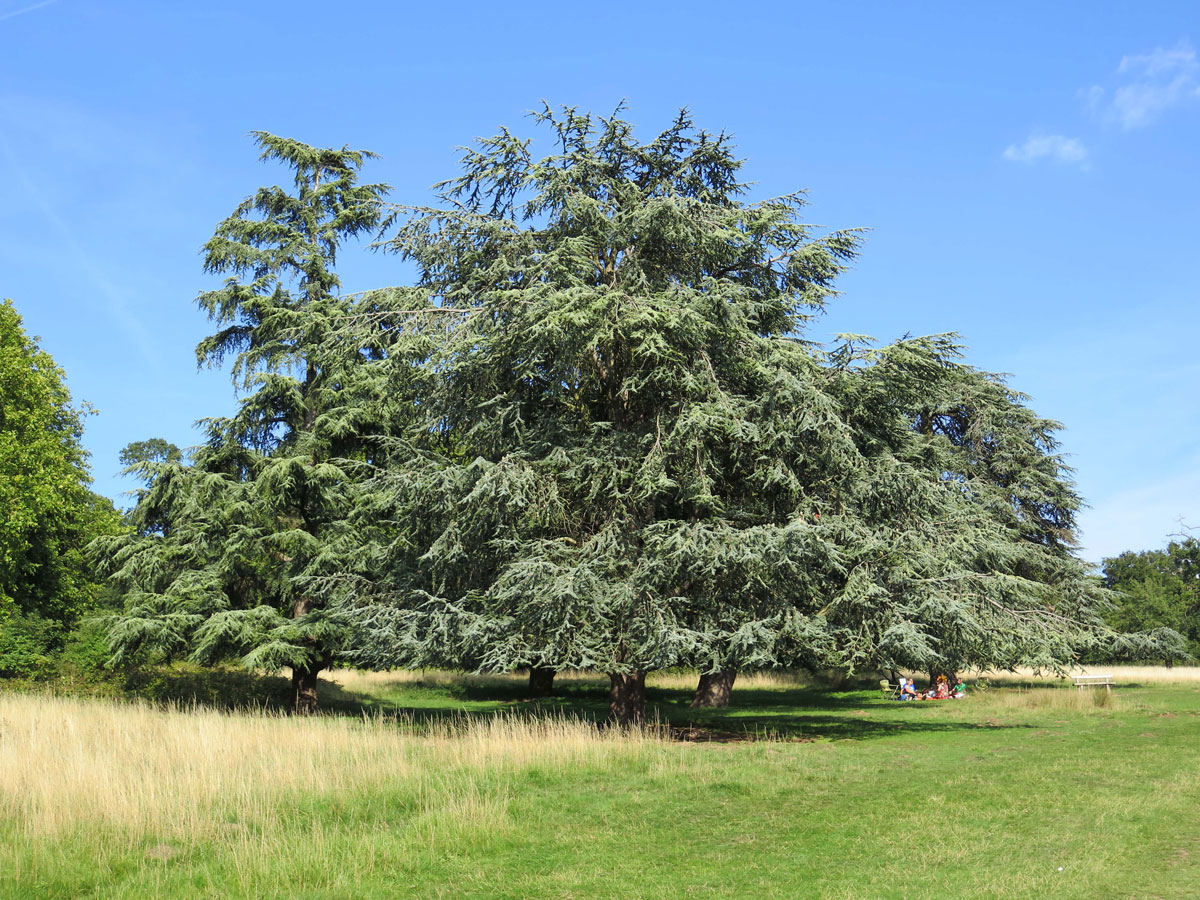 018-Richmond-Park