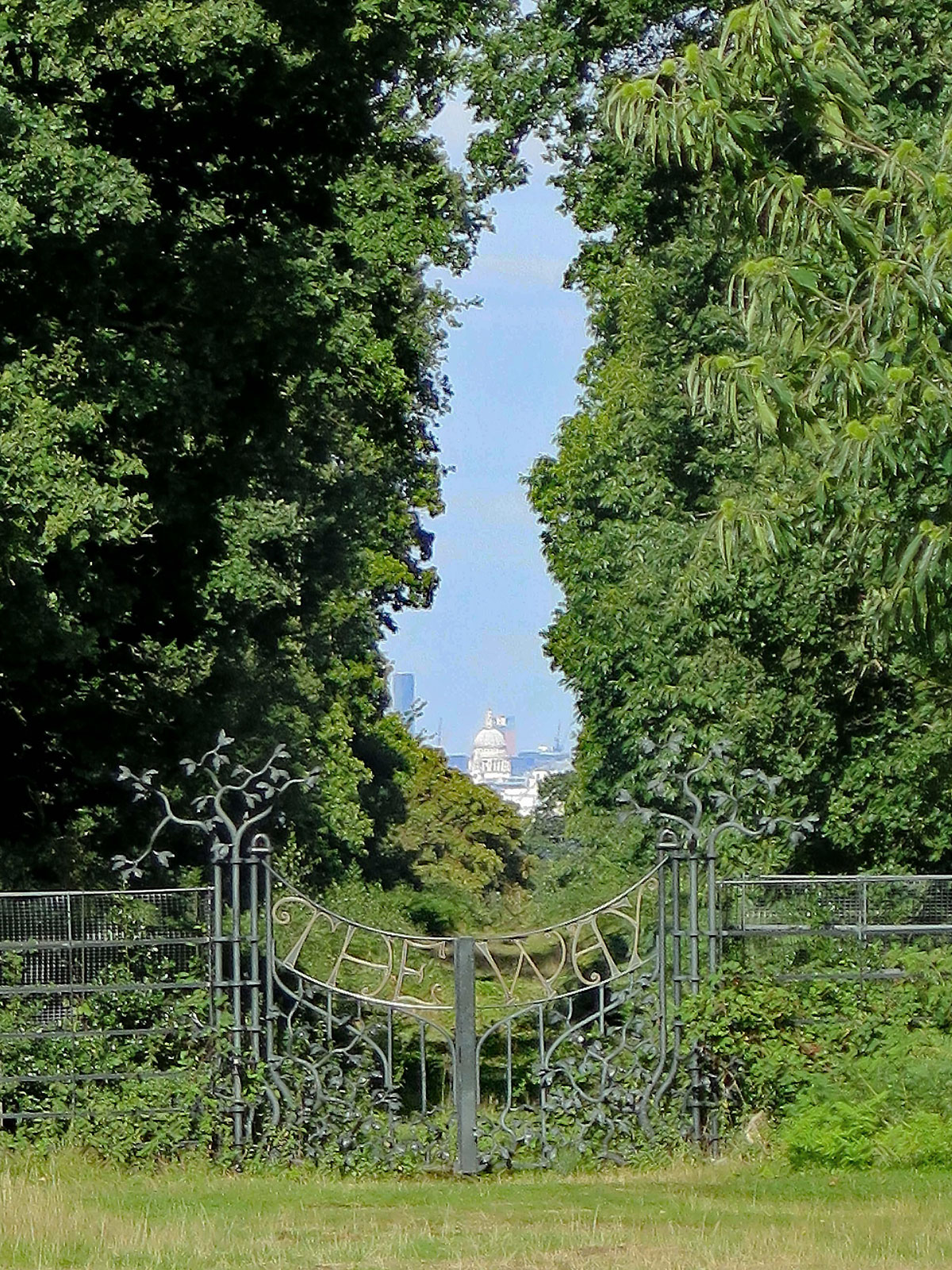 021-The-'Protected-View'-of-St-Paul's-Cathedral