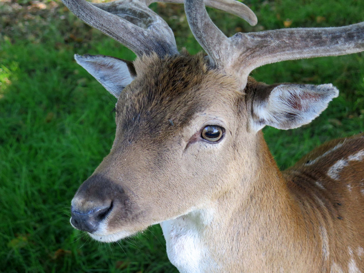 027-How-can-you-not-photograph-such-a-Creature