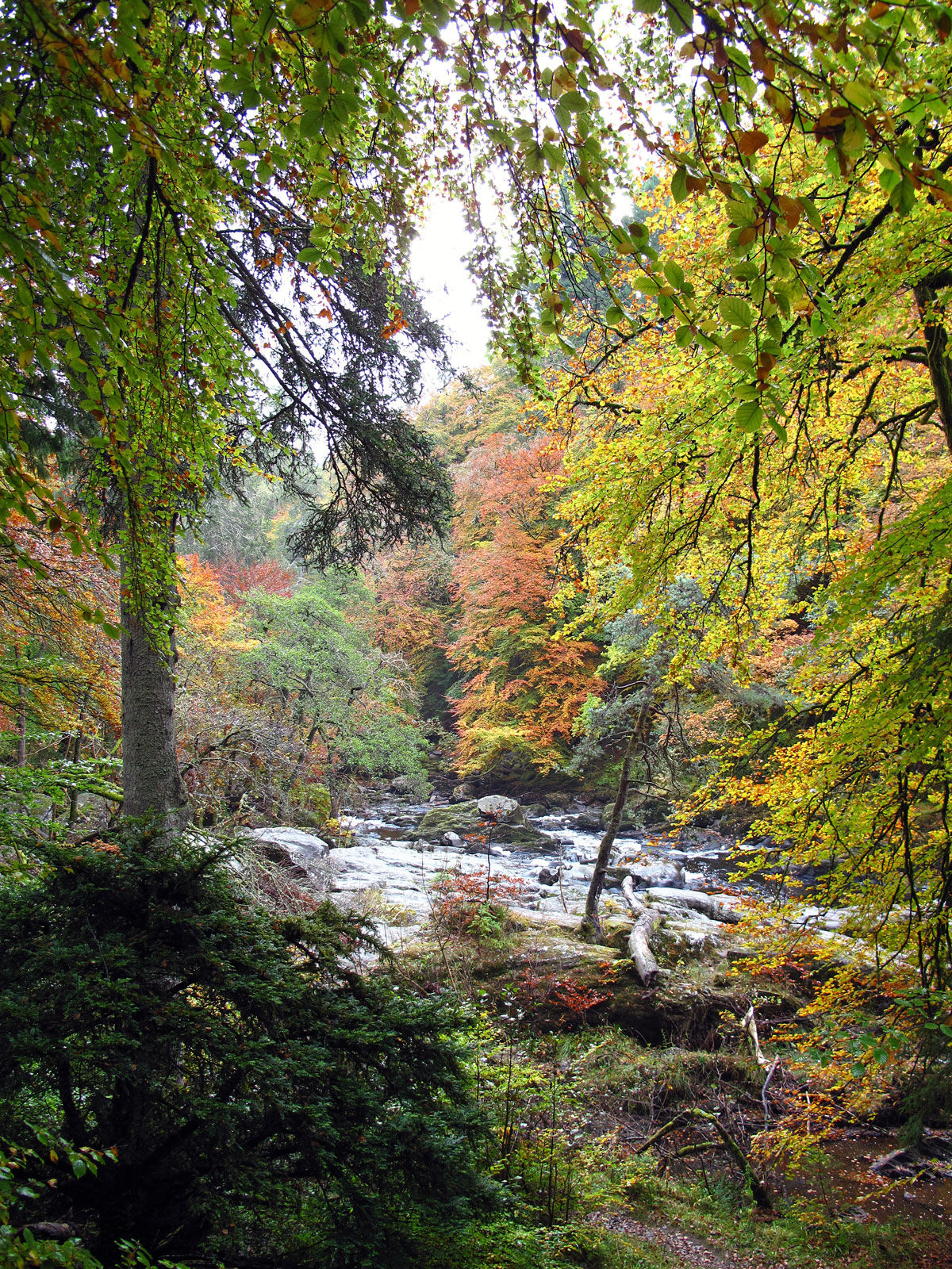 017-The-River-Braan