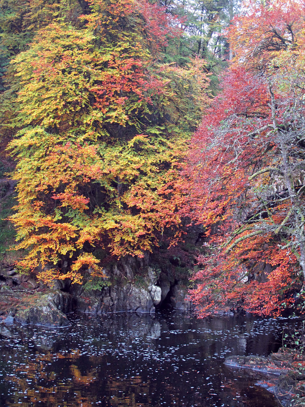 018-The-Black-Linn-Pool